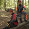 LOEGGER anti-cut protective trousers, grey