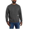 Carhartt Lightweight Logo Graphic sweatshirt